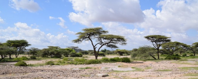 21_Kenia_Fahrt-nach-Marsabit